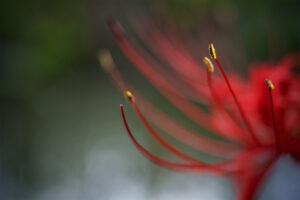 旧大利根町砂原 弁財天